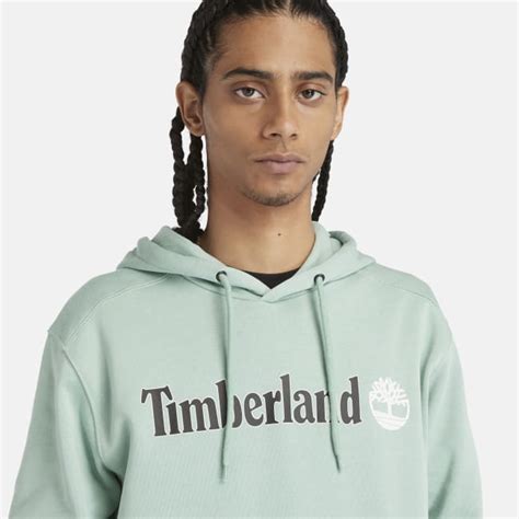 Linear Logo Hoodie for Men in Pale Green