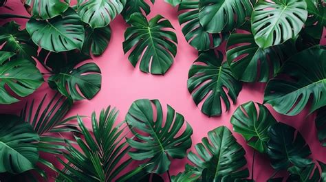 Premium Photo | Summer Tropical Leaves Background