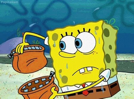 Spongebob Squarepants GIFs - Find & Share on GIPHY