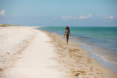 Beaches Near Tallahassee • choosetallahassee.com