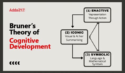 Bruner's Theory of Cognitive Development