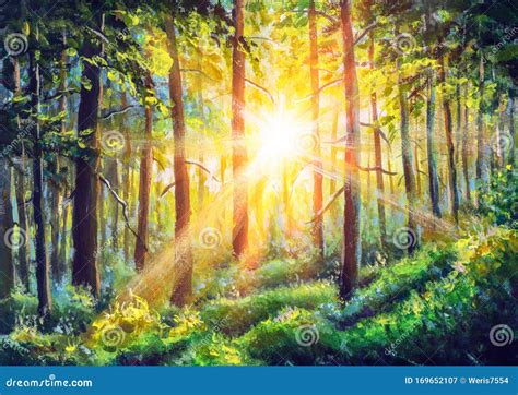 Sunrise in Forest Acrylic Painting Art. Beautiful Sunny Forest Landscape Stock Image - Image of ...