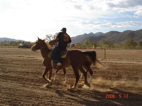 LA RADIOLA DE HERNAN: LO MEJOR DE CORRIDOS DE CABALLOS