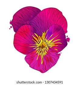 Vector Illustration Pink Pansy Flower Sketch Stock Vector (Royalty Free) 1307434591 | Shutterstock