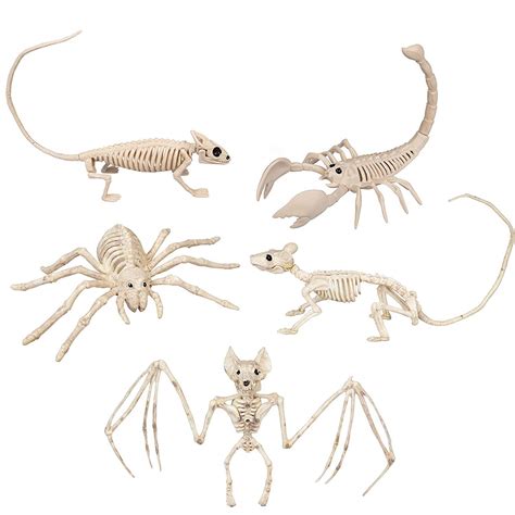 Buy Halloween Animal Skeletons 5 Pack (9"-15" Size) w Bendable Tails and Movable Jaws ...