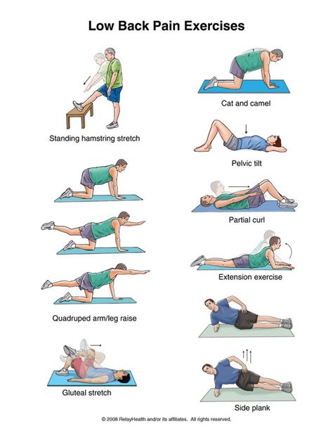 23 best Physical Therapy Exercises For Low Back Pain images on Pinterest | Physical therapy ...