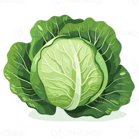 Cabbage Clipart - Generative Ai 26912068 PNG