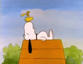 Snoopy Sneeze GIF - Snoopy Sneeze Woodstock - Discover & Share GIFs | Snoopy wallpaper, Peanuts ...