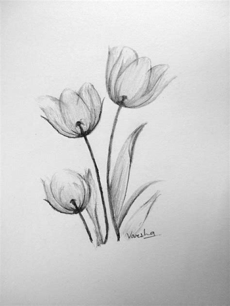 Easy flower shading || pencil shading techniques | Flower drawing, Pencil drawings for beginners ...