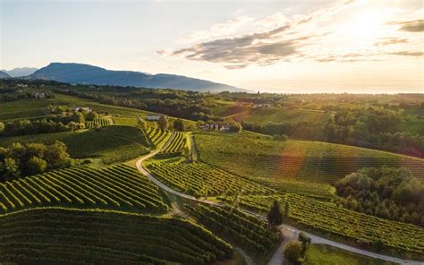 Prosecco winery tour and tasting in Valdobbiadene :: curioseety