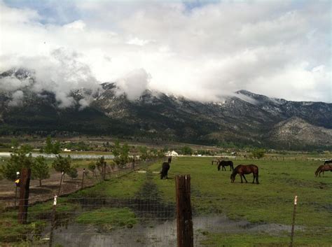 Gardnerville, Nevada | Nevada, Gardnerville, Armchair travel