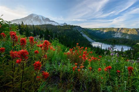 7 Phenomenal National Parks in the Pacific Northwest