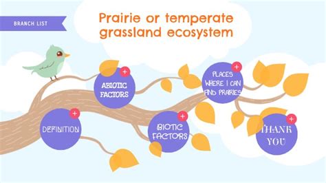 Prairie or grassland ecosystem