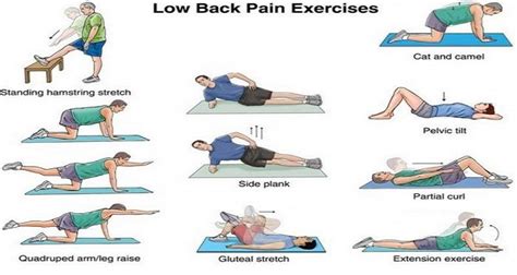 Some Best Exercises For Relieving your Low Back Pain