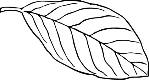 Free Leaf Outline Vector Art - Download 4,755+ Leaf Outline Icons & Graphics - Pixabay