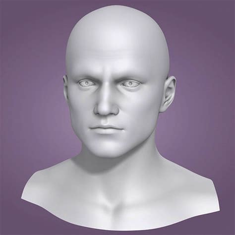 Male Head 3d Model 3D model | CGTrader