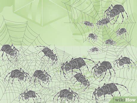 Swarm of Spiders 5e: Stats, Attacks, & How to Use Them