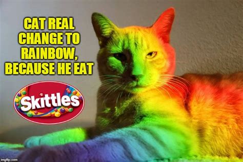 skittles Memes & GIFs - Imgflip