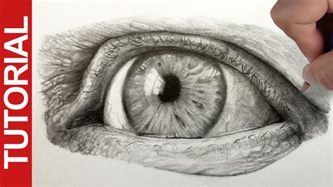 Drawing Pencil Graphite