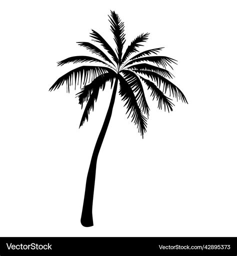 Tall palm tree silhouette palm high quality Vector Image