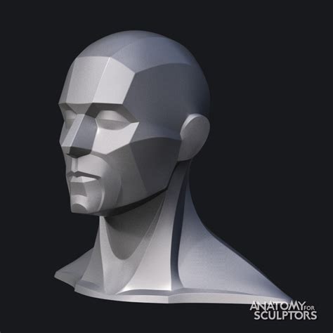 ArtStation - Male head 3D model block-out | Anatomy for artists, Face proportions drawing, Anatomy