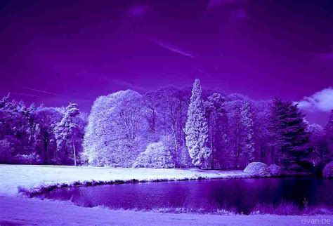 Purple Snowflake Wallpaper - WallpaperSafari