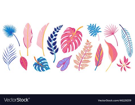 Tropical leaves set Royalty Free Vector Image - VectorStock