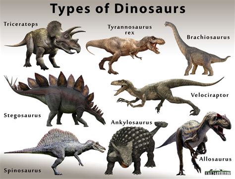 List Of Common Dinosaurs