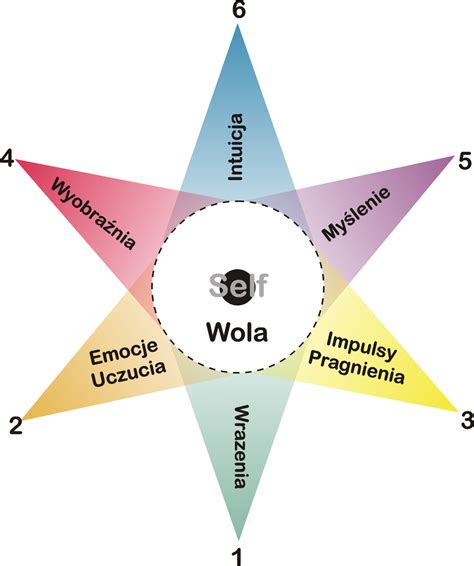 File:Star-diagram color.png - Wikimedia Commons