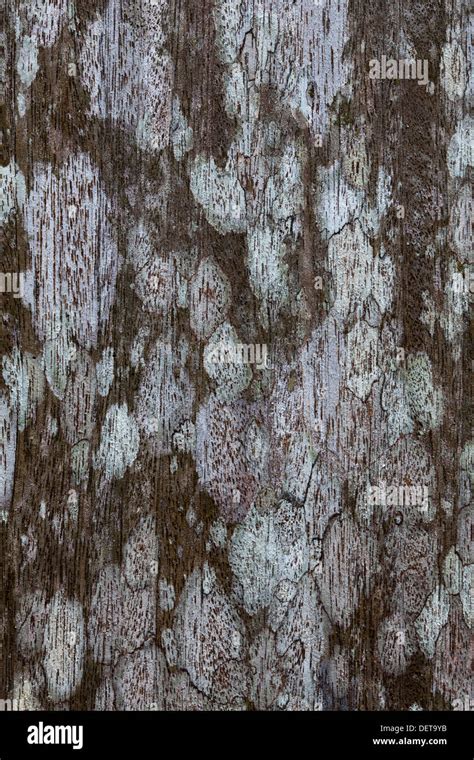 wood texture color shape volume line contrast background useful juxtaposition graphic art artsy ...