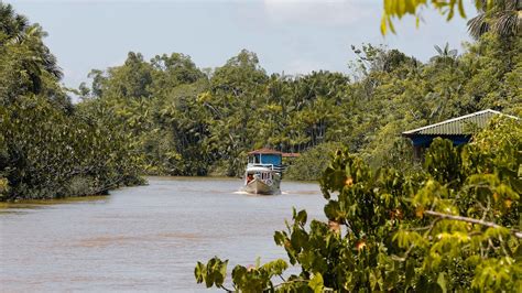 Where to eat in Belem, Brazil's gateway to the Amazon