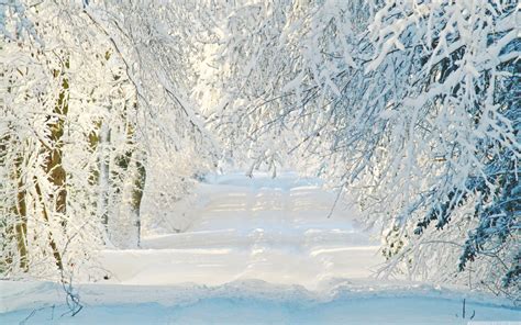 Snowy Road Wallpapers - Top Free Snowy Road Backgrounds - WallpaperAccess