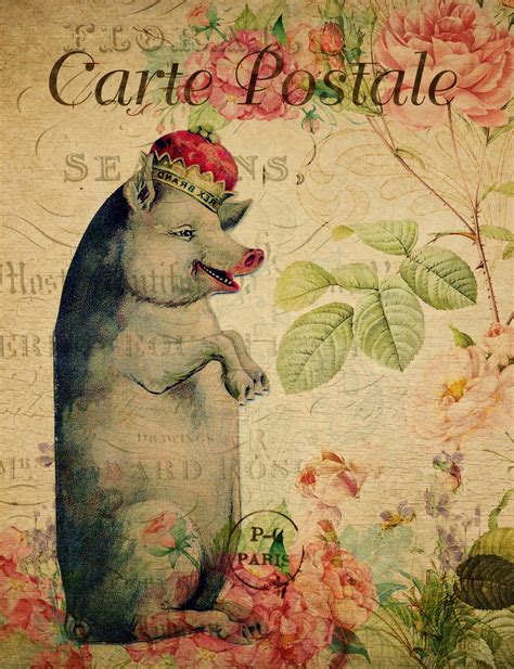 Pig Vintage Floral Postcard Free Stock Photo - Public Domain Pictures