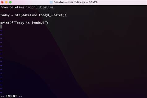 Open file in python terminal