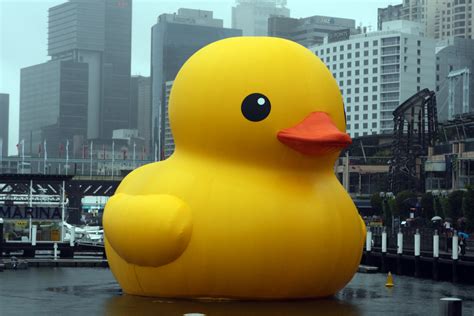 Giant Rubber Duck Bursts in Taiwan