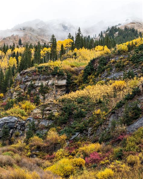 Fall Colors in Aspen, Colorado [OC] [1638x2048] : r/EarthPorn