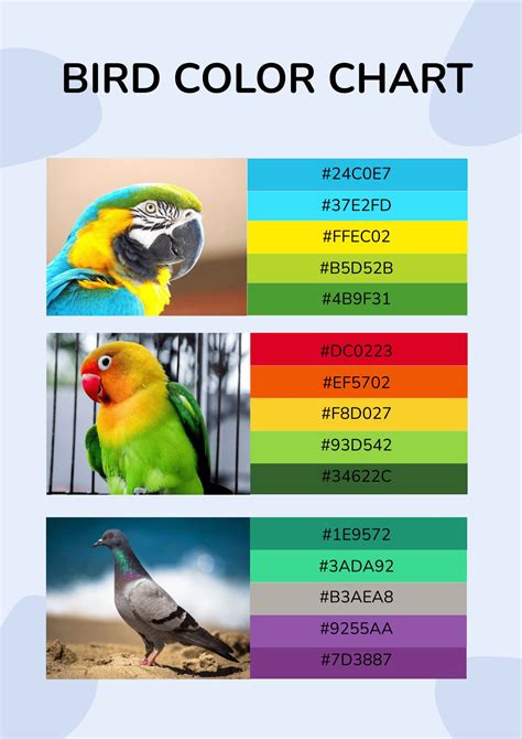 Gildan Color Chart Template - Edit Online & Download Example | Template.net