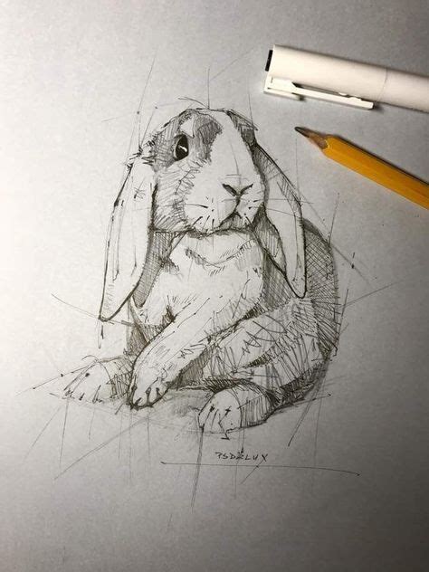 pencil drawing ideas animals - Myung Kimmel