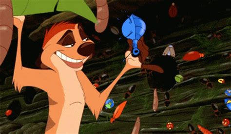 Timon Eat GIF - Timon Eat Disney - Discover & Share GIFs