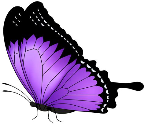 Purple Butterfly Transparent PNG Clip Art Image | Gallery Yopriceville - High-Quality Images and ...