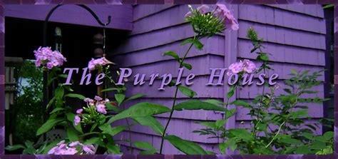 From the Purple House|News and Happenings