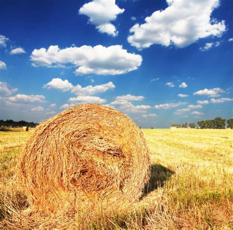 Rural Landscapes Stock Image - Image: 6099971