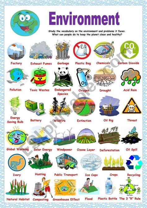 Environment Pictionary - ESL worksheet by Solnechnaya | Environment, Environmental studies ...