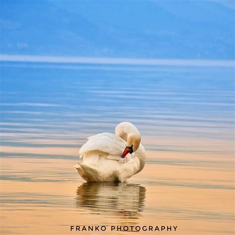 Visit Pogradec - Tradition and Adventure