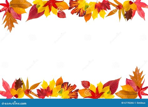 Autumn leaves border stock photo. Image of colorful, fall - 6778266