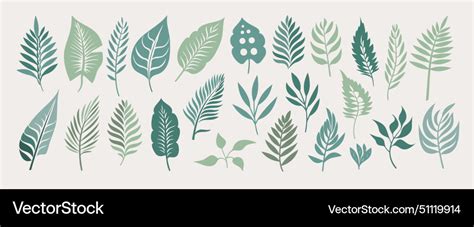 Tropical leaves collection isolated Royalty Free Vector