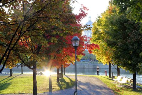 The Best Places to See Fall Foliage in Montreal