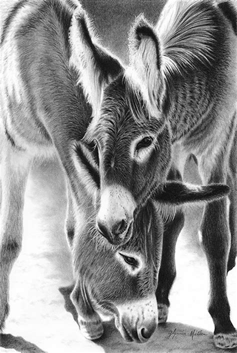 Animal Pencil Shading