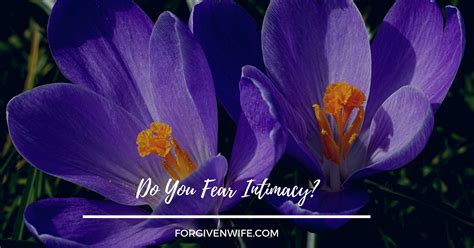 Do You Fear Intimacy? - The Forgiven Wife