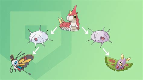 Wurmple evolution guide